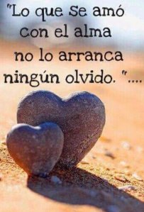 lo que se amó.jpg-large